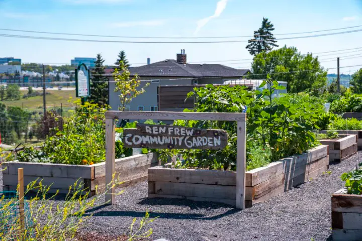 Renfrew community
