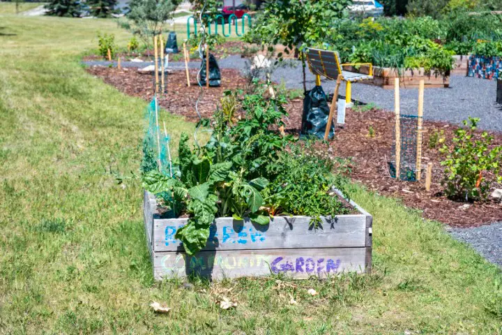 Renfrew community in Calgary